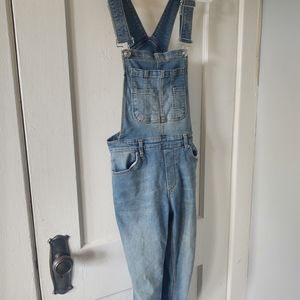 Free People Denim Overalls